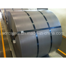 Paquete de exportación SPCC Steel Coil